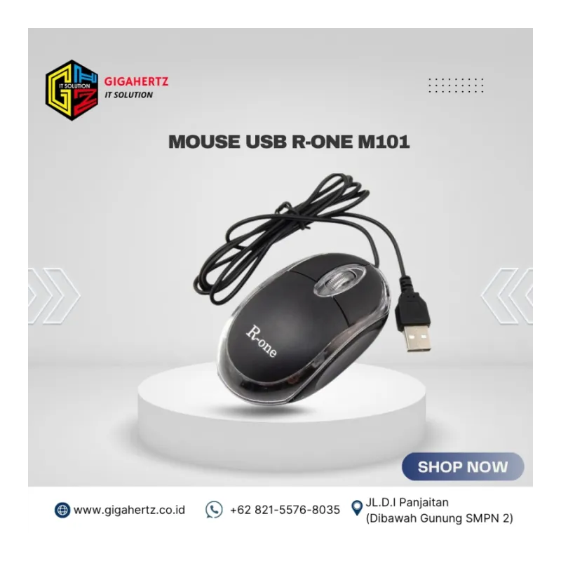 MOUSE USB R-ONE M101
